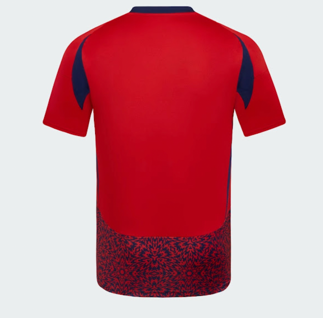 Divisa casalinga Costa Rica 2024/2025