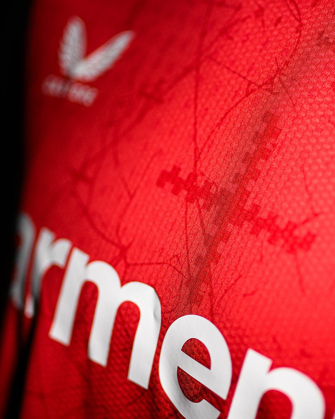 Maglia casalinga Bayer Leverkusen 2024/25