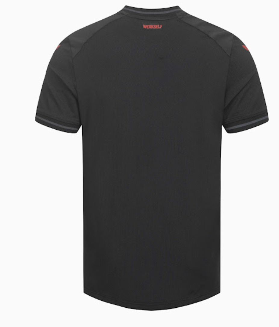 Bayer 04 Leverkusen Maillot Fans Domicile 23/24