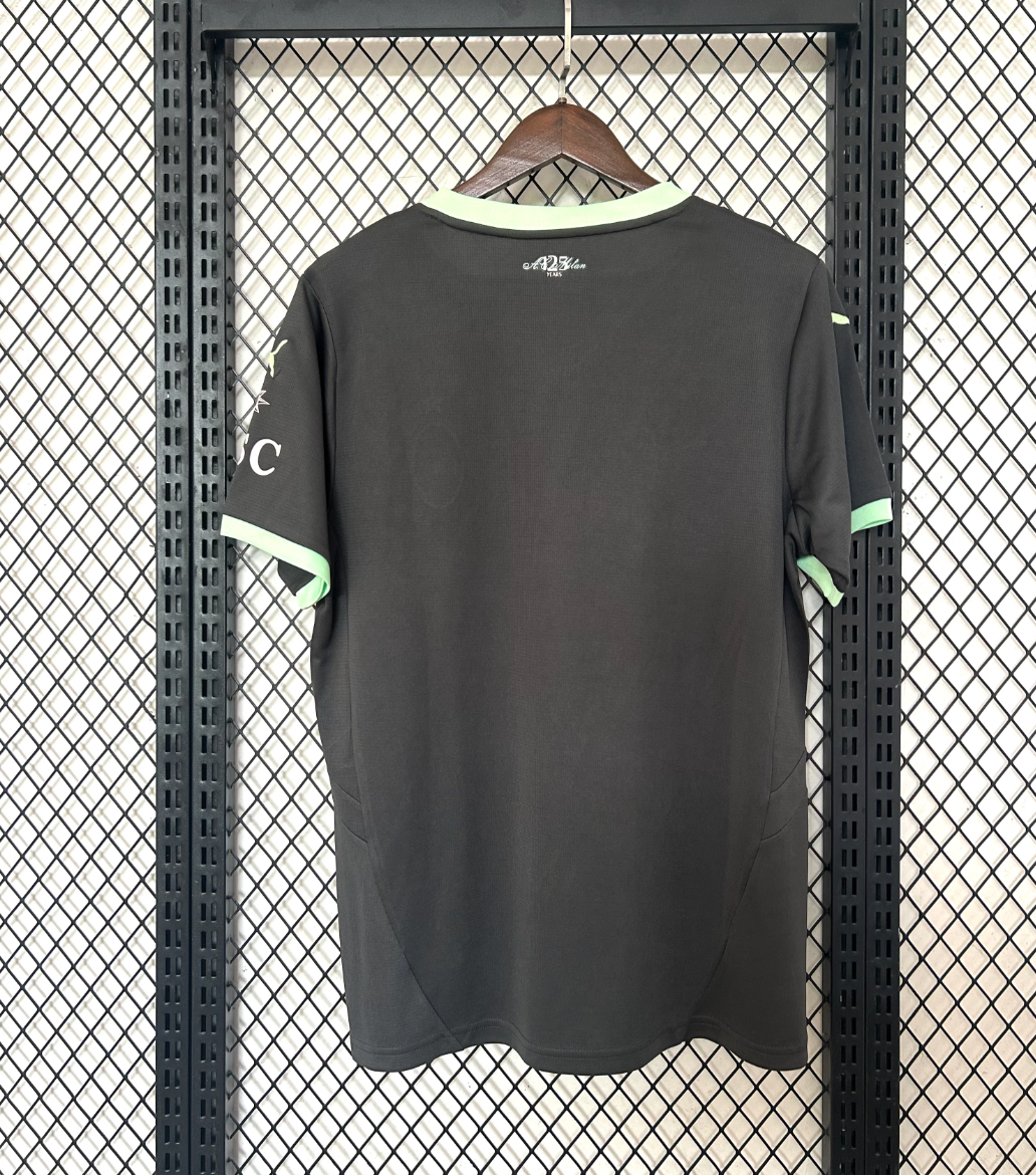 AC Milan Drittes Trikot 24/25 Grau und Grün